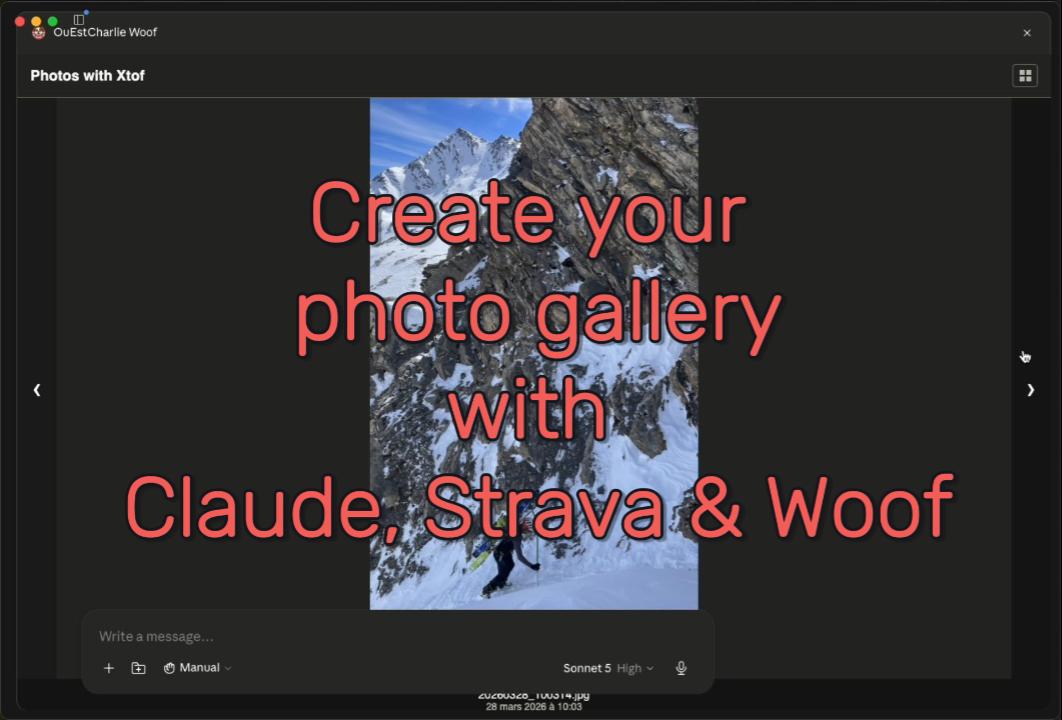I created a companion app for Claude to search and browse photos and videos logo