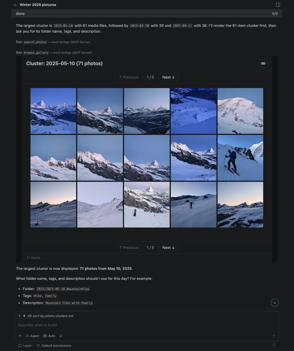 Automatically cluster, review in the OuEstCharlie Woof gallery and sort photos from VSCode Chat